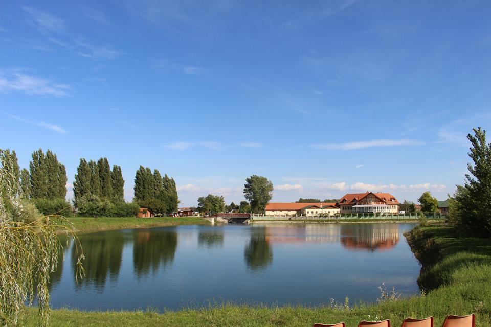 La Curia Panzio Bed & Breakfast Dunaszeg Exterior foto